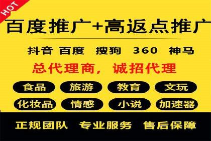 某某sem推广公司实战案例：精准投放提升转化率